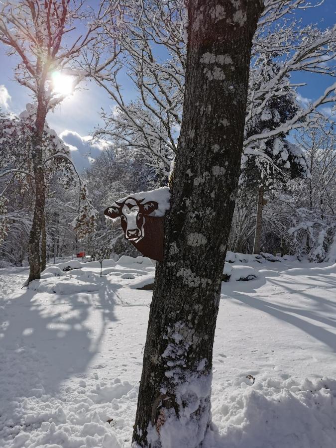 Auvergne Chalets Sancy Bagnols  Exterior photo