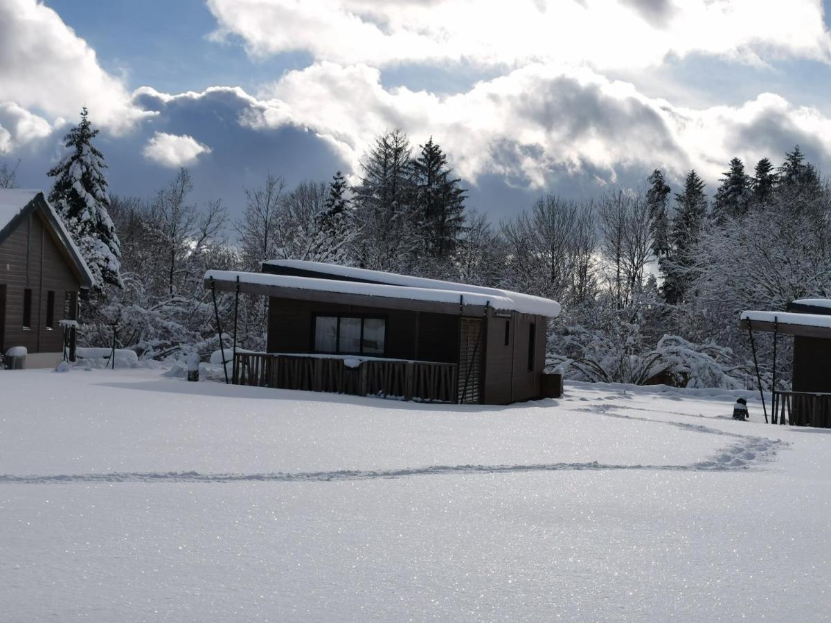 Auvergne Chalets Sancy Bagnols  Exterior photo