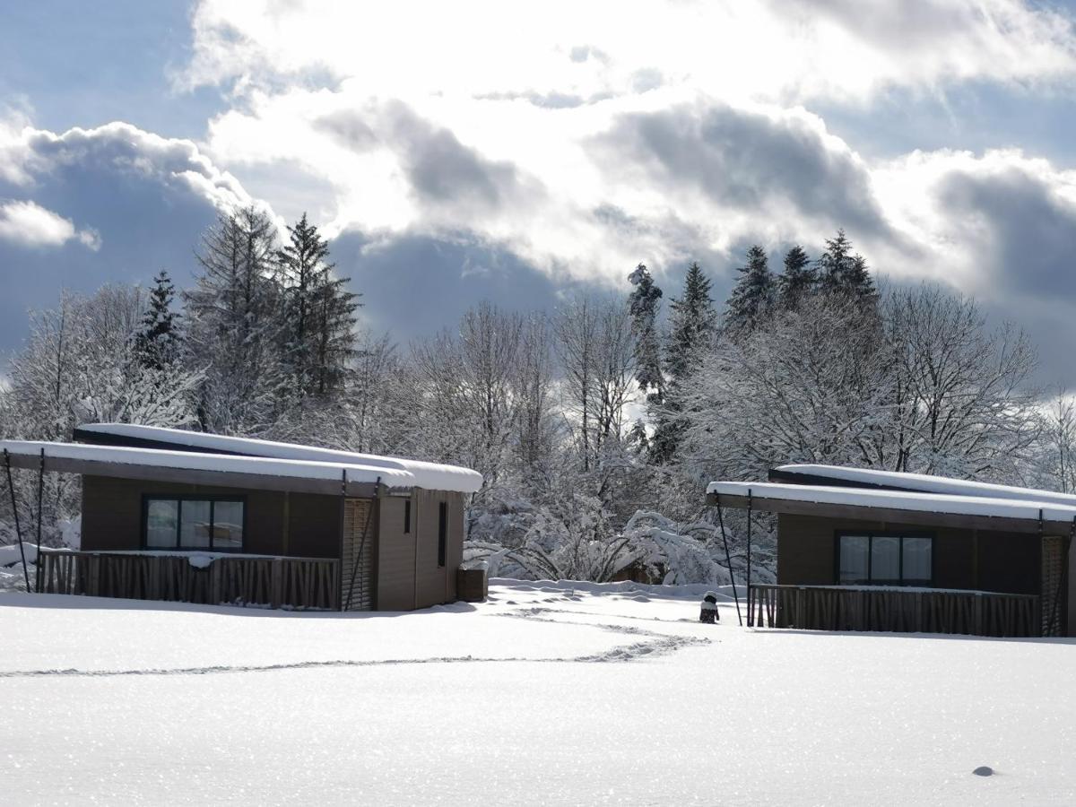 Auvergne Chalets Sancy Bagnols  Exterior photo