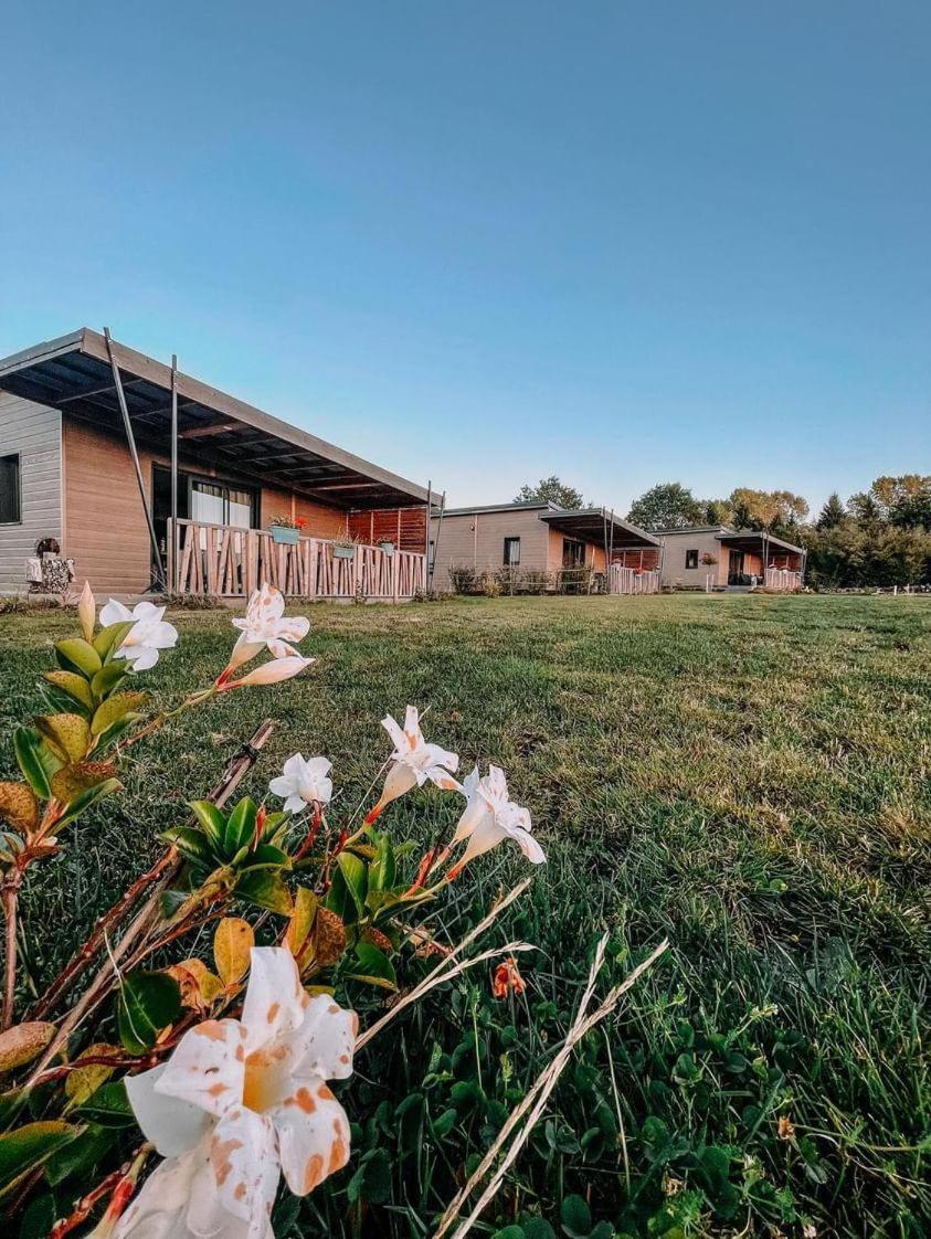 Auvergne Chalets Sancy Bagnols  Exterior photo